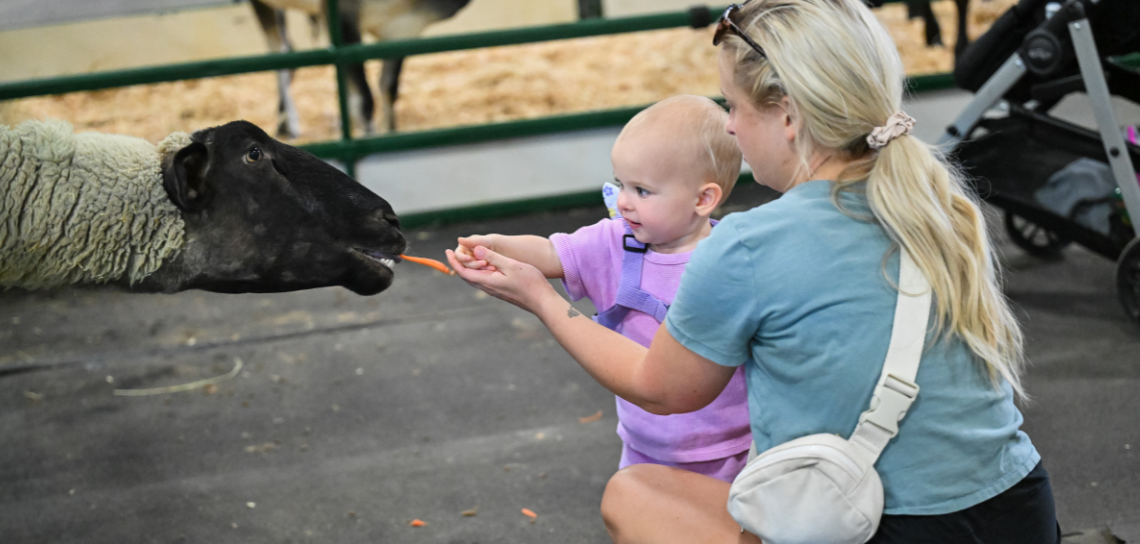 Photo Gallery Rotating Banner/ Petting Zoo