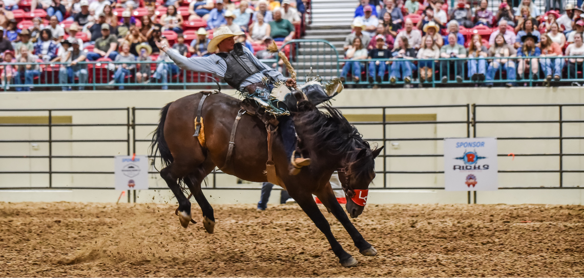 Photo Gallery Rotating Banner/Bareback 