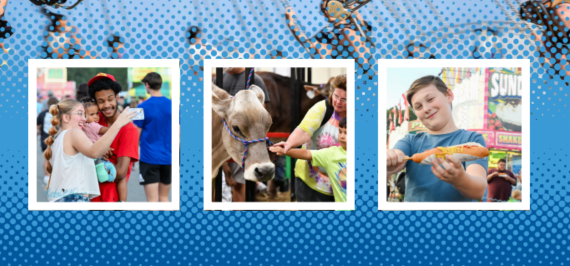 Sponsorship Document Cover Swings