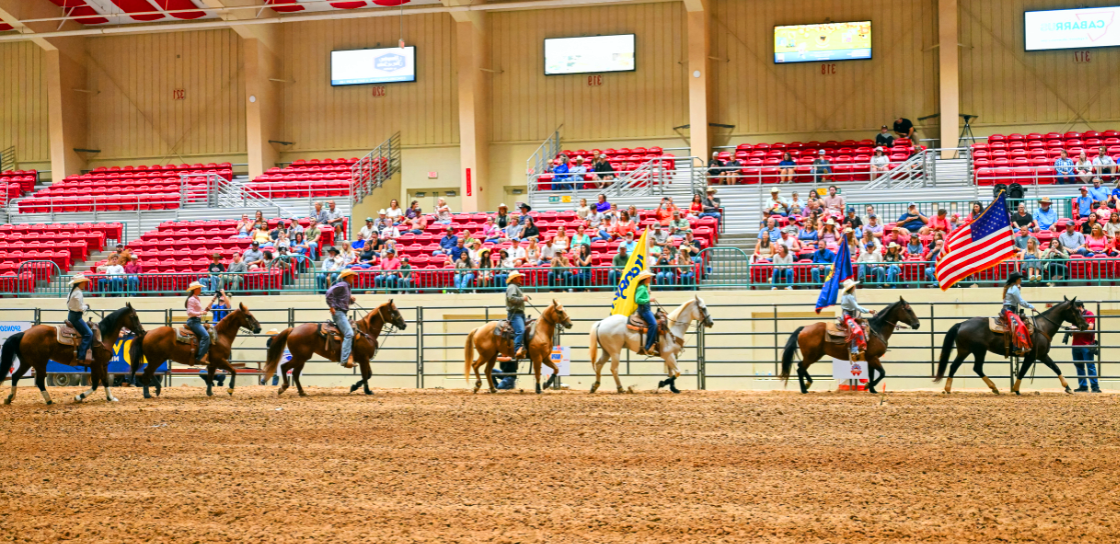 American Flag Rodeo Horses